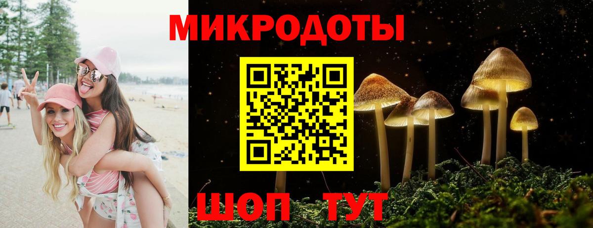 Галлюциногенные грибы мухоморы  где продают наркотики  Сунжа  Вход с VPN 